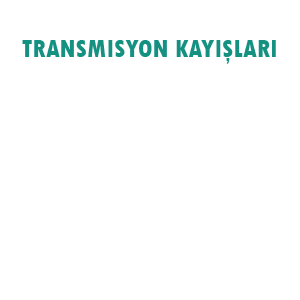 Transmisyon Kayışları